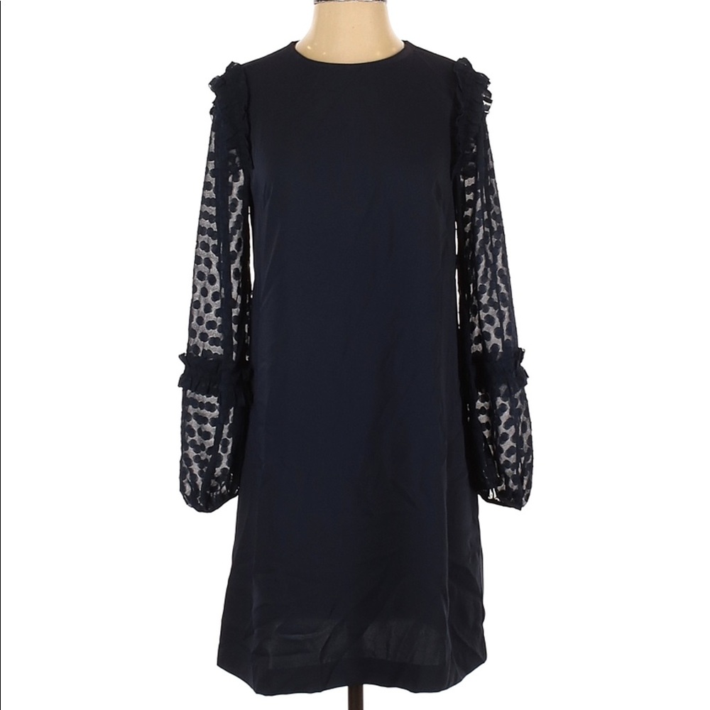 LIKE NEW Ann Taylor Sheer Dot Sleeve Shift